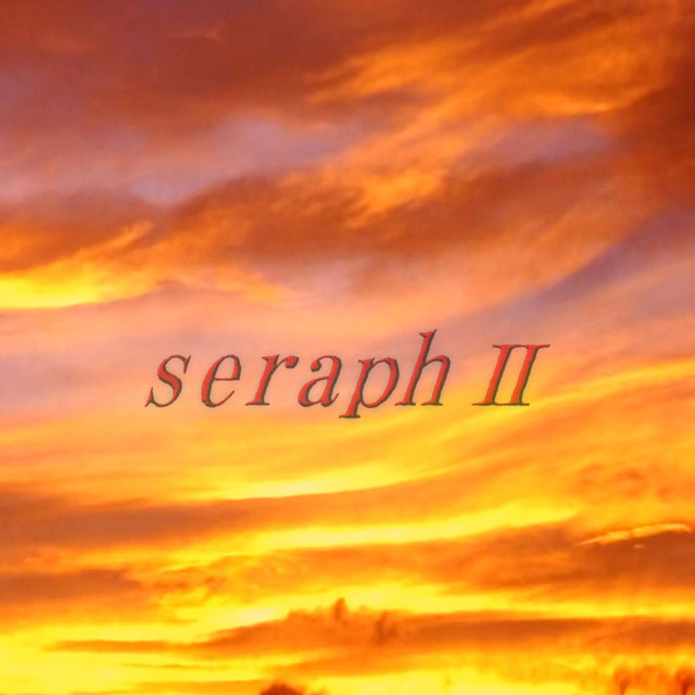 seraph Ⅱ ジャケット